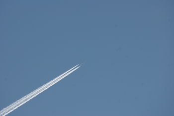 くっきり飛行機雲.jpg